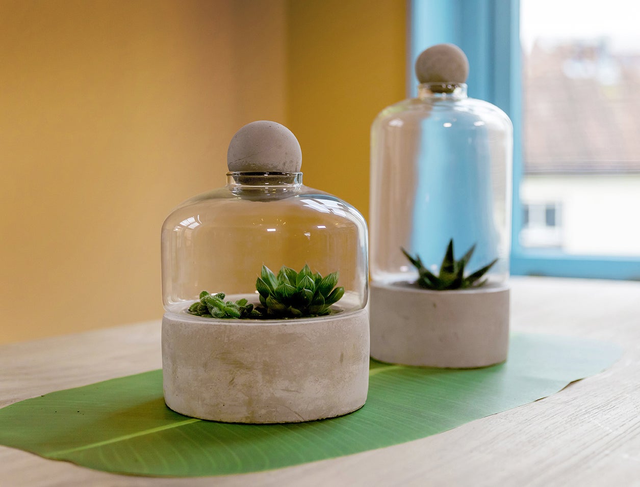 Bottle Terrarium Concrete Base S