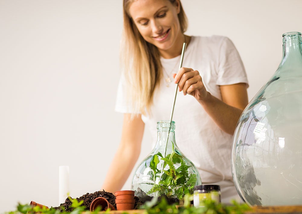 Plant Terrarium Activated Charcoal