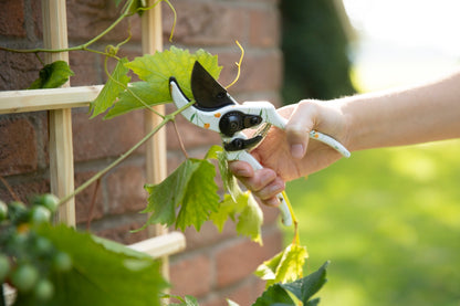 Sécateur avec impression d'abeille