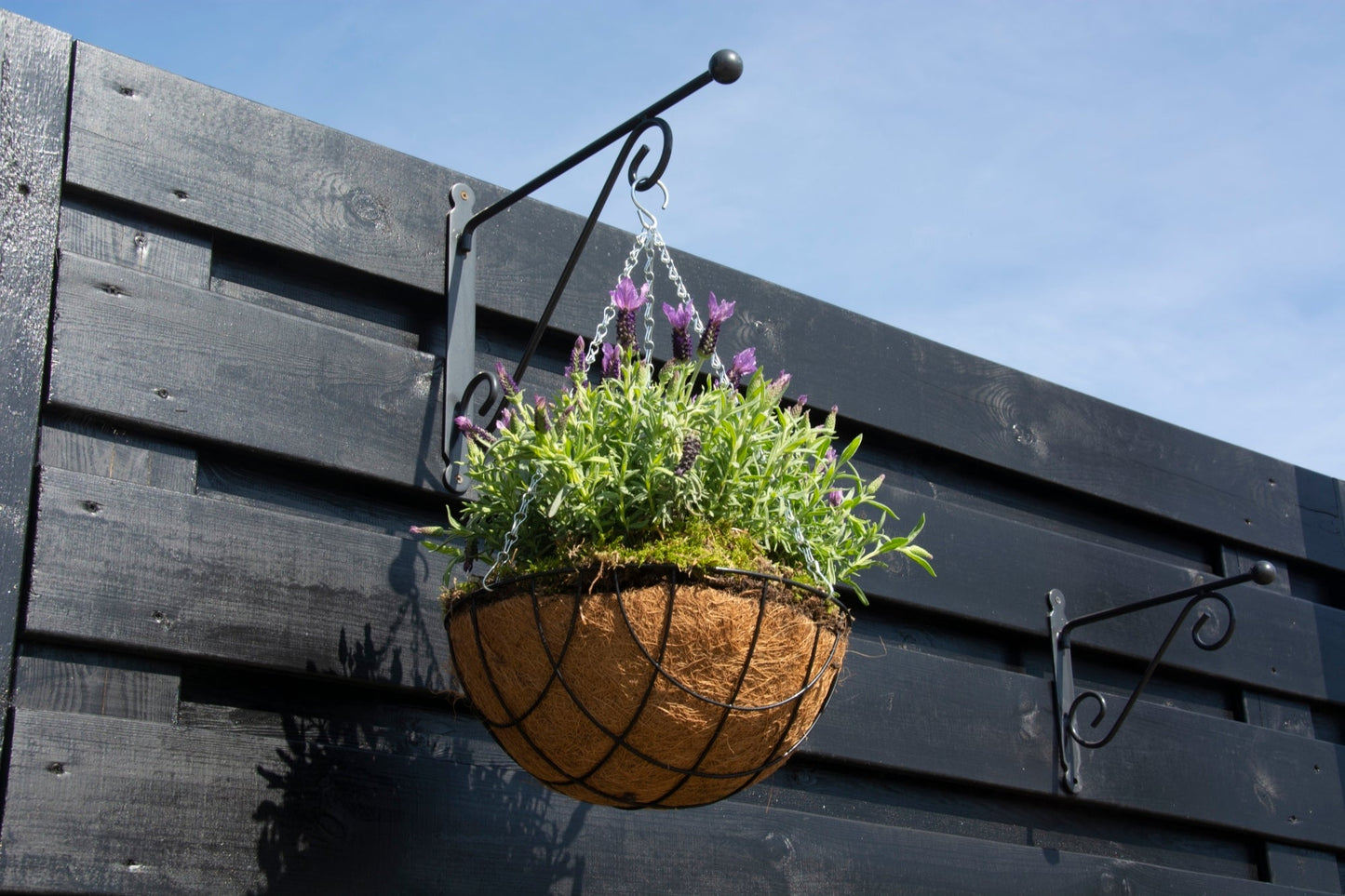 Hanging Basket Hook With Ball M