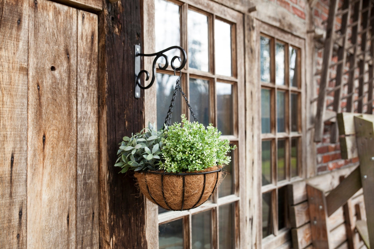 Metal Hanging Basket 12"