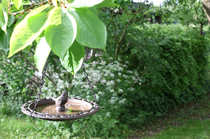 "Baignoire pour Oiseaux Suspendue ""Oiseau"" en Coffret Cadeau"