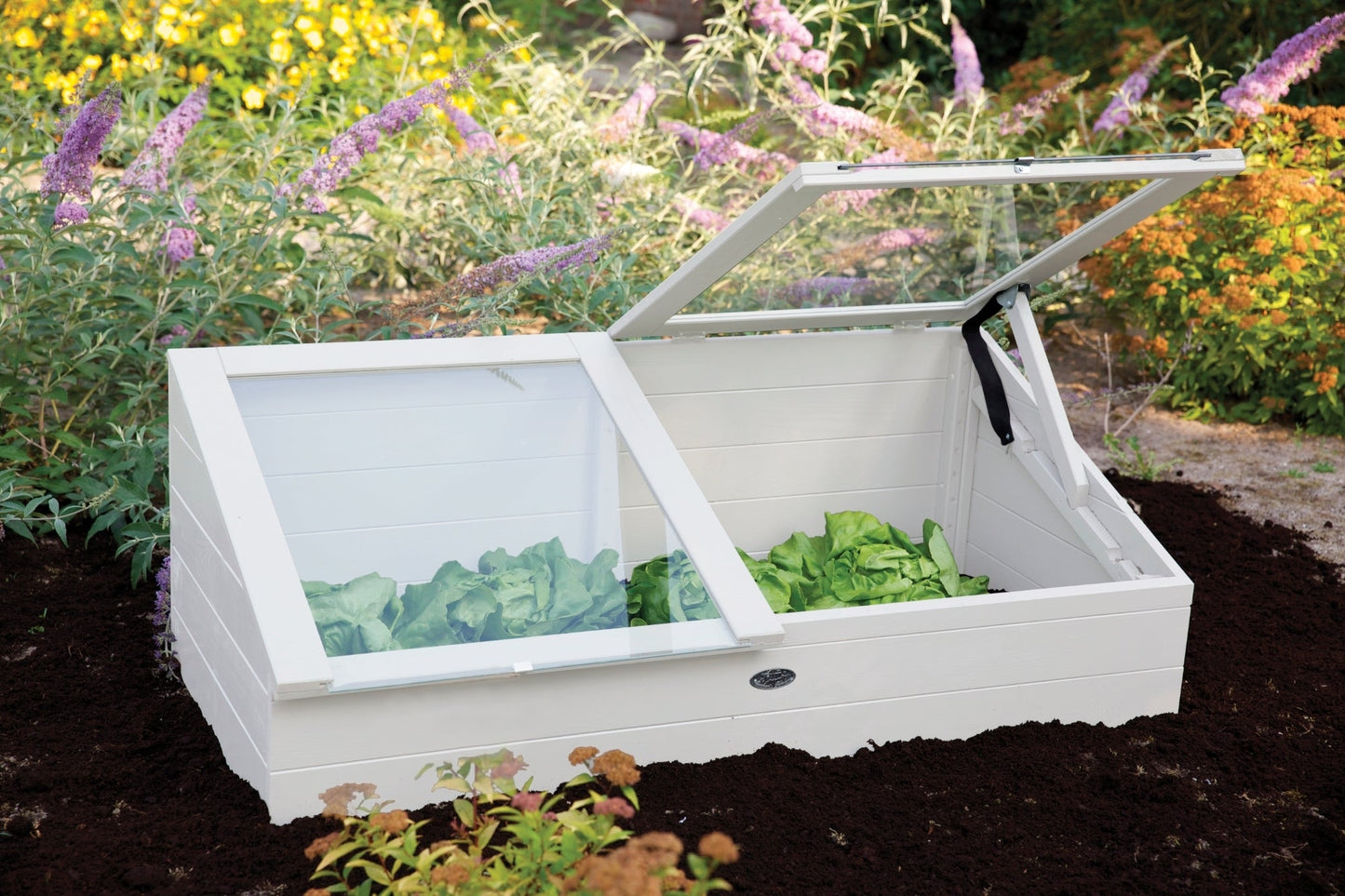 Cold frame white. Pinewood