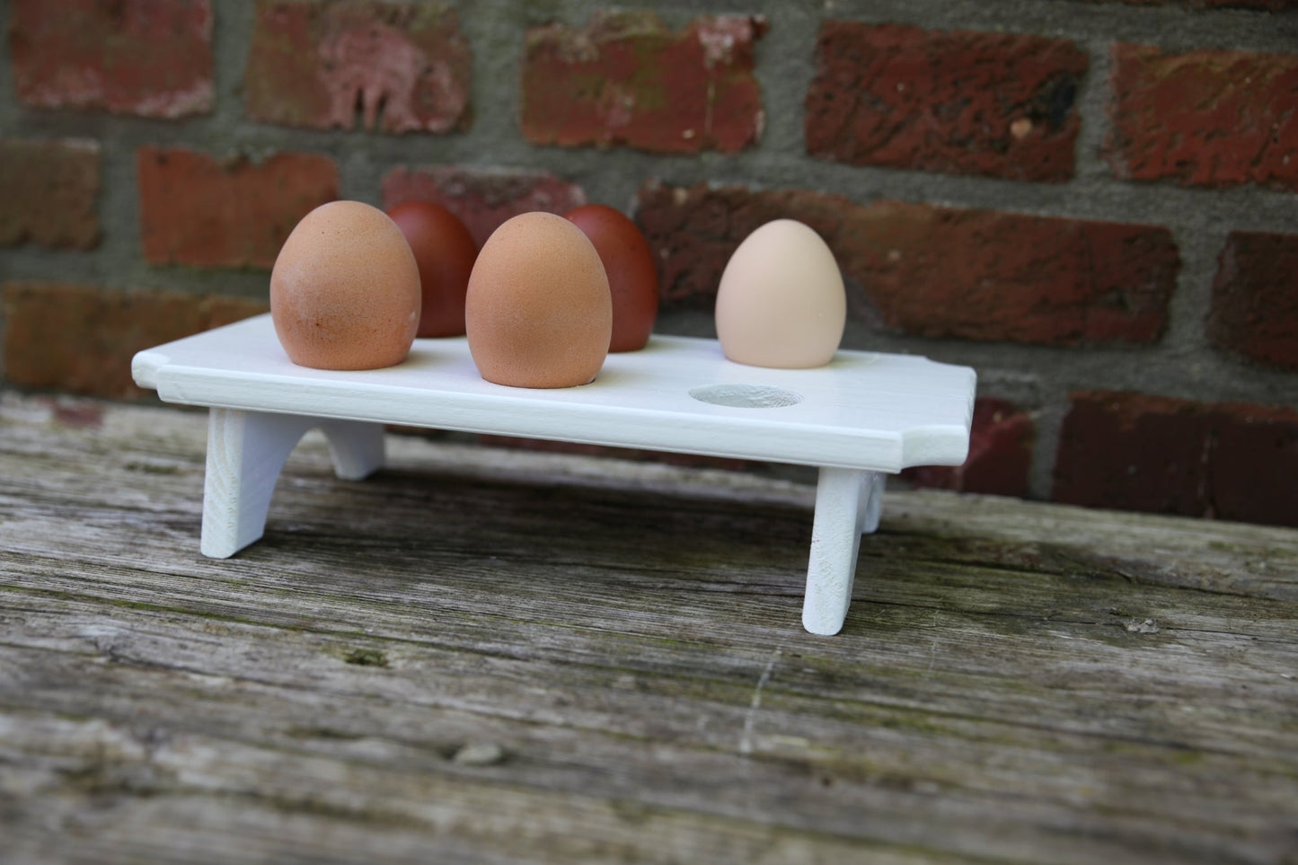 Egg Holder, 25% Off