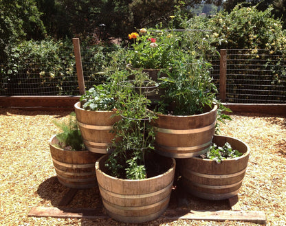 Half Barrel Garden Planter, 17' tall x 28' wide at belly