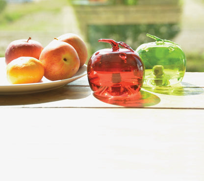Fruit Fly Trap Apple ~ Assorted