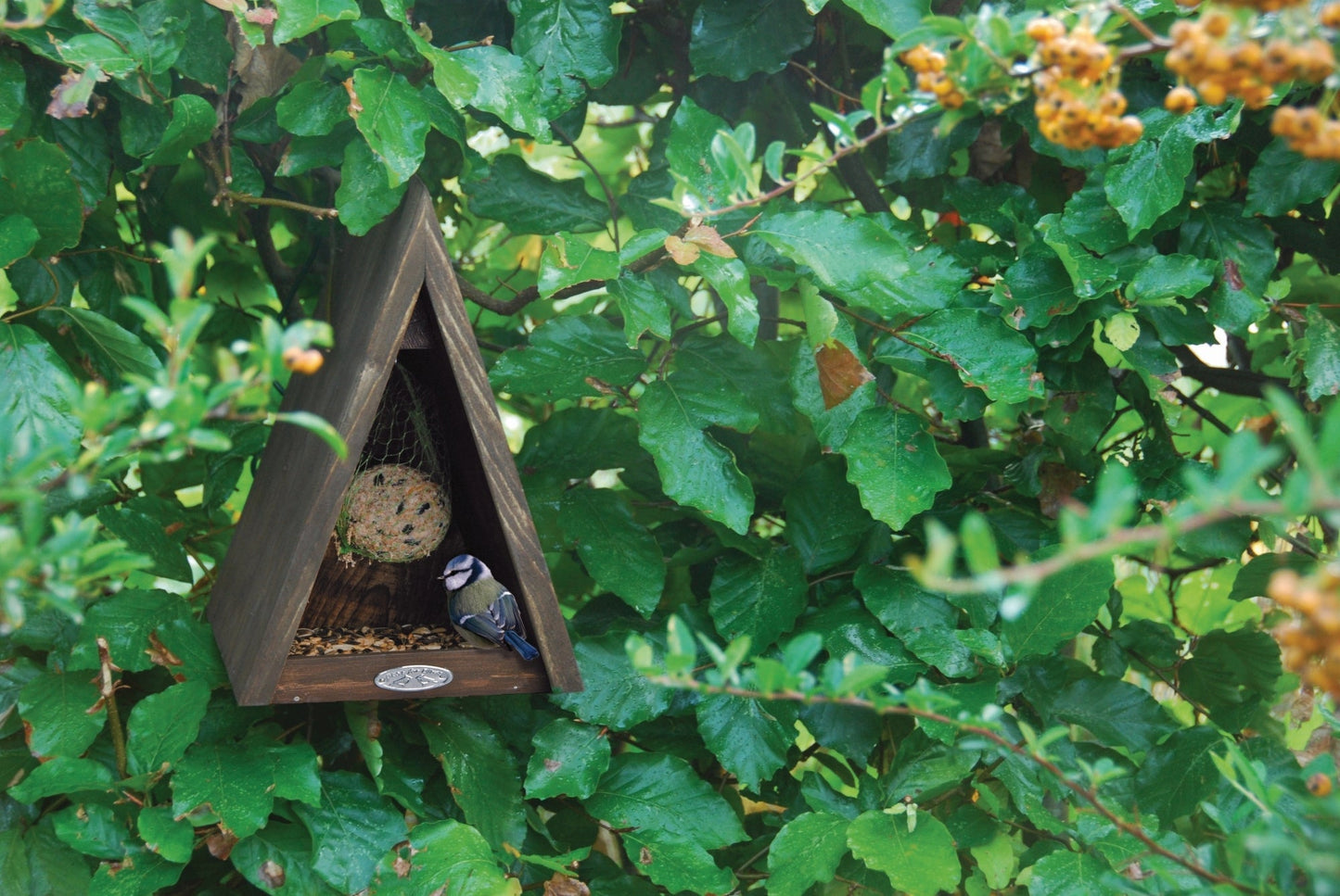 Mangeoire à oiseaux triangulaire. Pinède., Dernière Chance