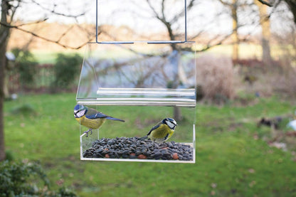 Acrylic Hanging Birdtable House, Excl. Bird Food