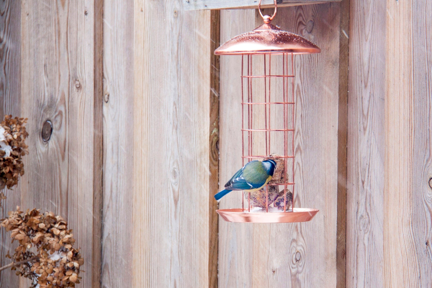 "Distributeur de Suetball en Cuivre, Sauf Nourriture pour Oiseaux"