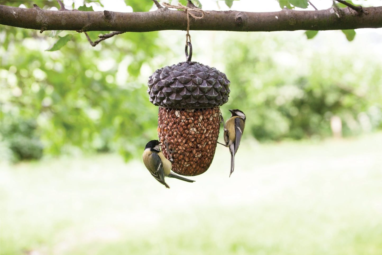 Acorn Bird Feeder, Excl. Bird Food