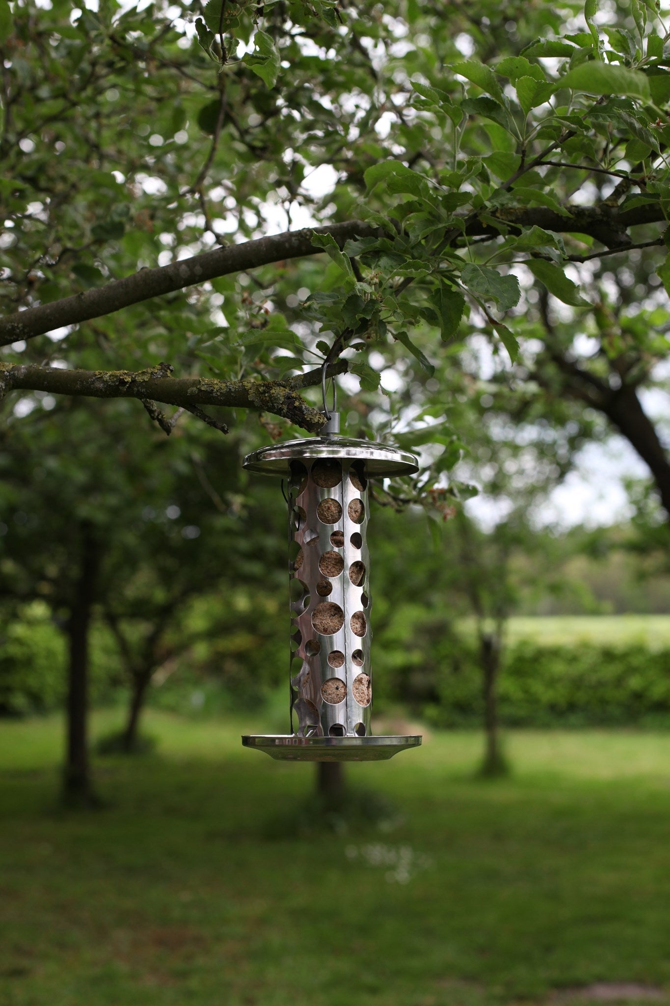 Stainless Steel Seed Feeder, Excl. Bird Food