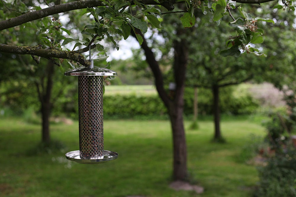 Stainless Steel Nut Feeder, Excl. Bird Food