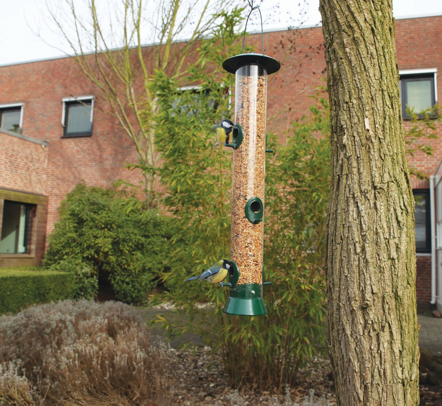 Seed Dispenser XL, Excl. Bird Food