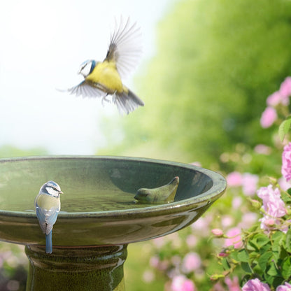 Bird Bath Green On Foot