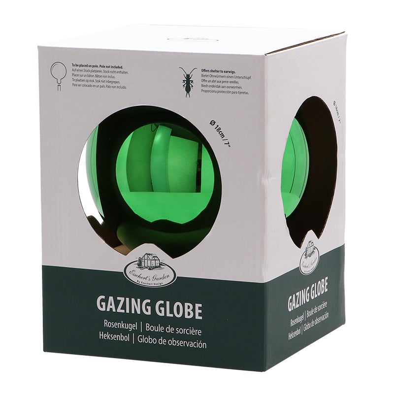 Globes d'observation en verre L