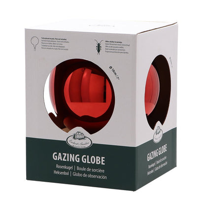 Globes d'observation en verre L