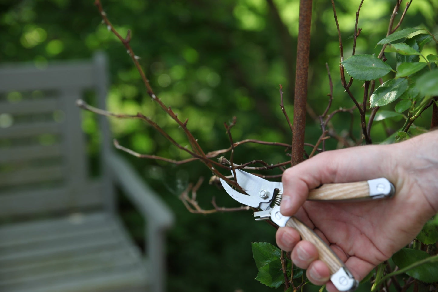 Multitool de jardin en acier inoxydable