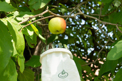 Fruit Picker