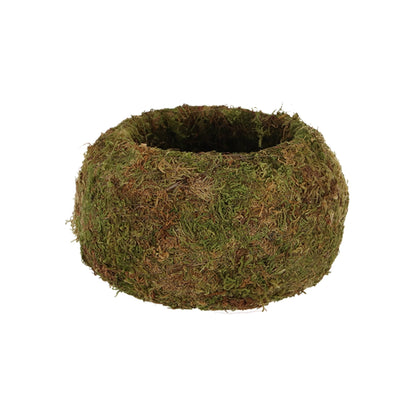 Kokedama Ball L