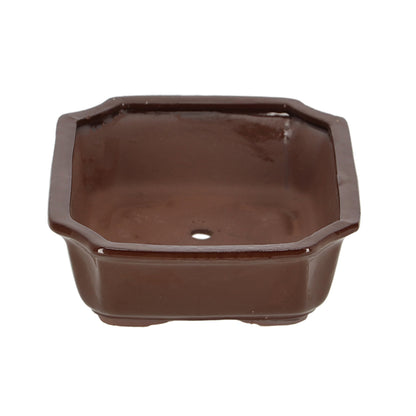 Bonsai Pot Rectangular L