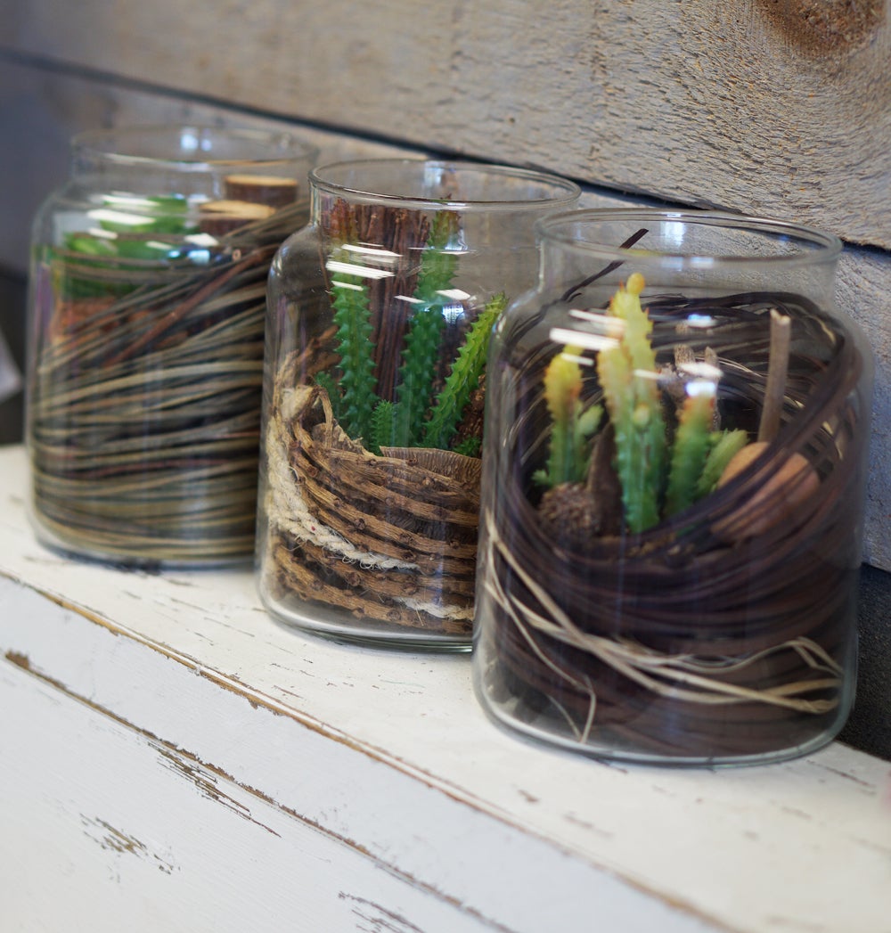 Faux Plants In Glass, 30% Off, (YVR Showroom)