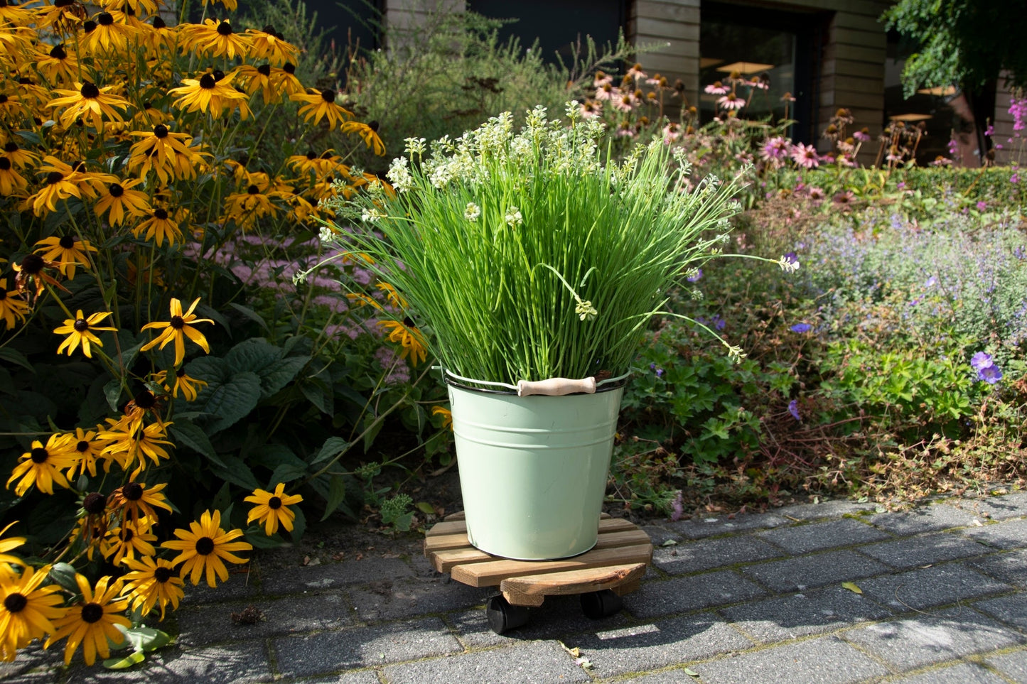 "Chariot pour plantes d'extérieur L, marron"