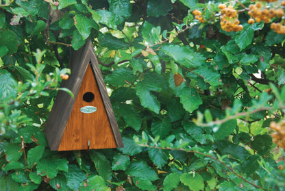 Wigwam nichoir. Pinède. 19, dernière chance