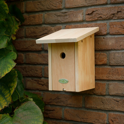 Blue Tit Bird House in Gift Box