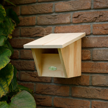 Robin Bird House dans une boîte cadeau