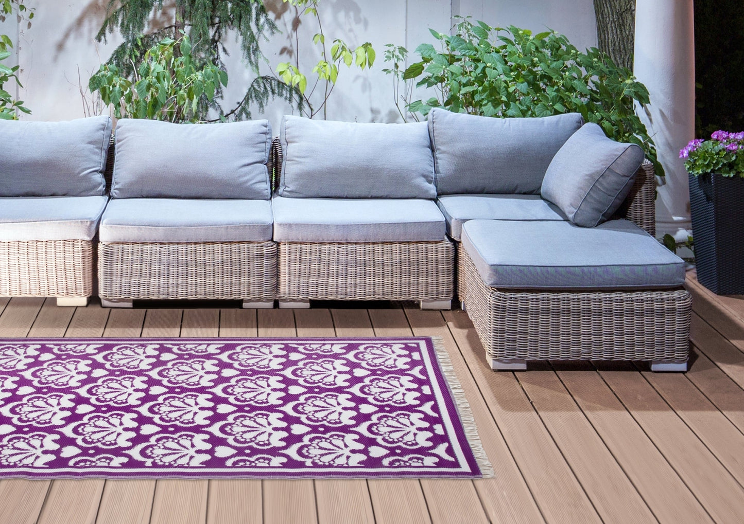 Tapis de Jardin Persan Violet/, Dernière Chance