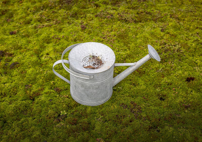 Old Zinc Watering Can With Funnel