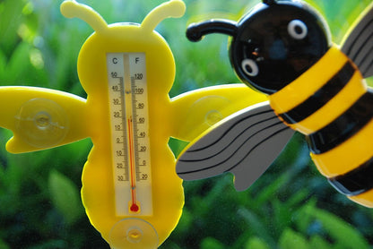 Thermomètre de fenêtre d'abeille