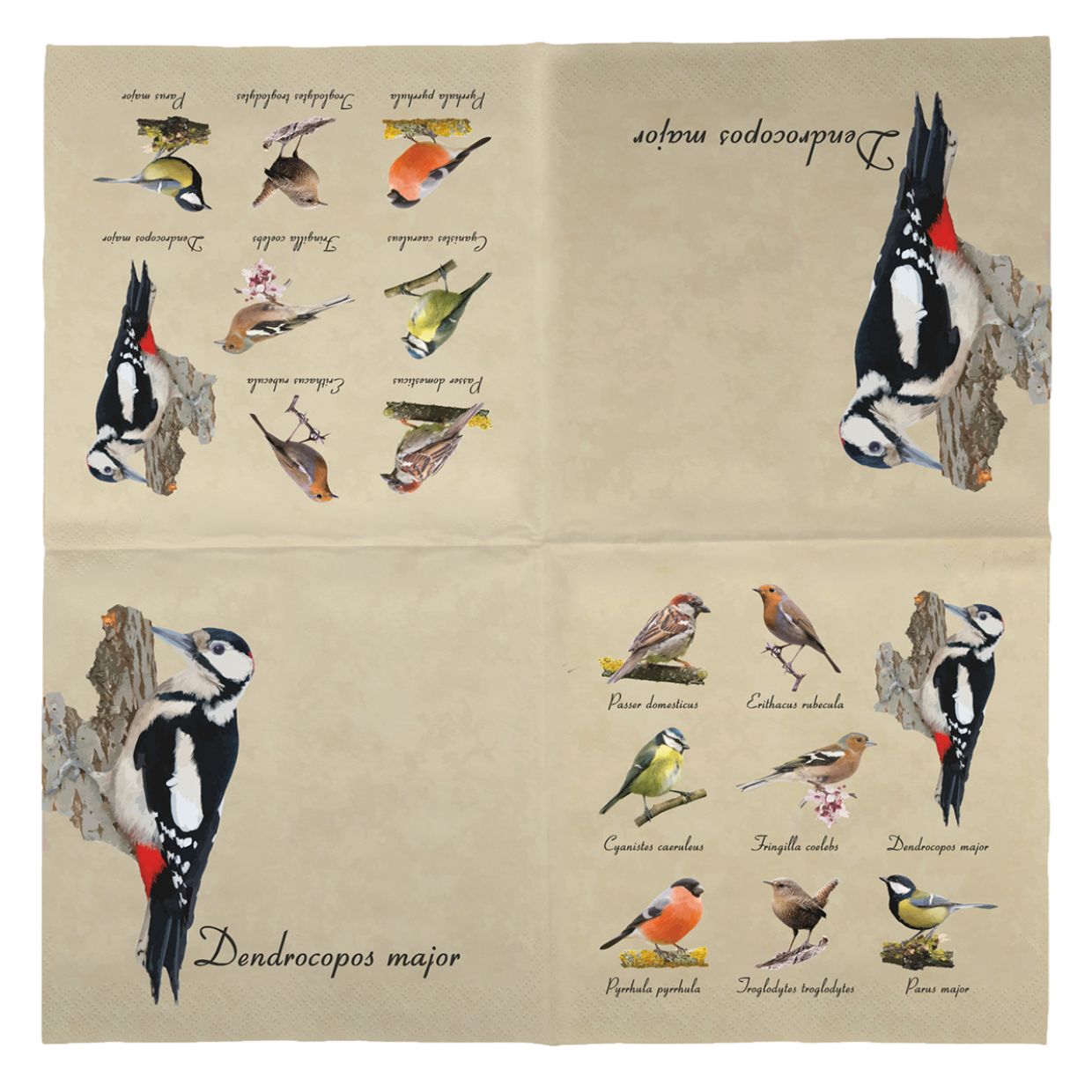 Serviettes papier Oiseaux 33X33cm