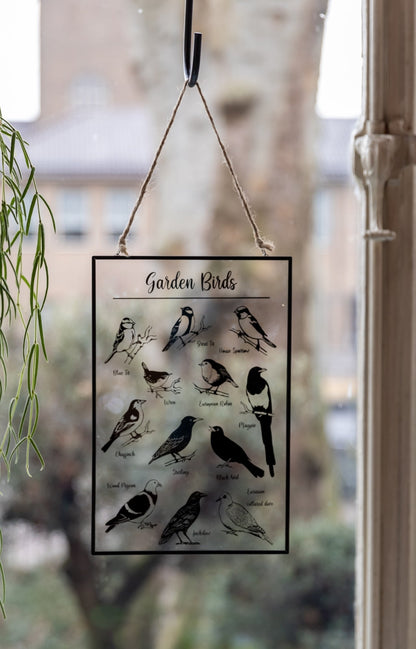 Cintre en verre Oiseaux de jardin