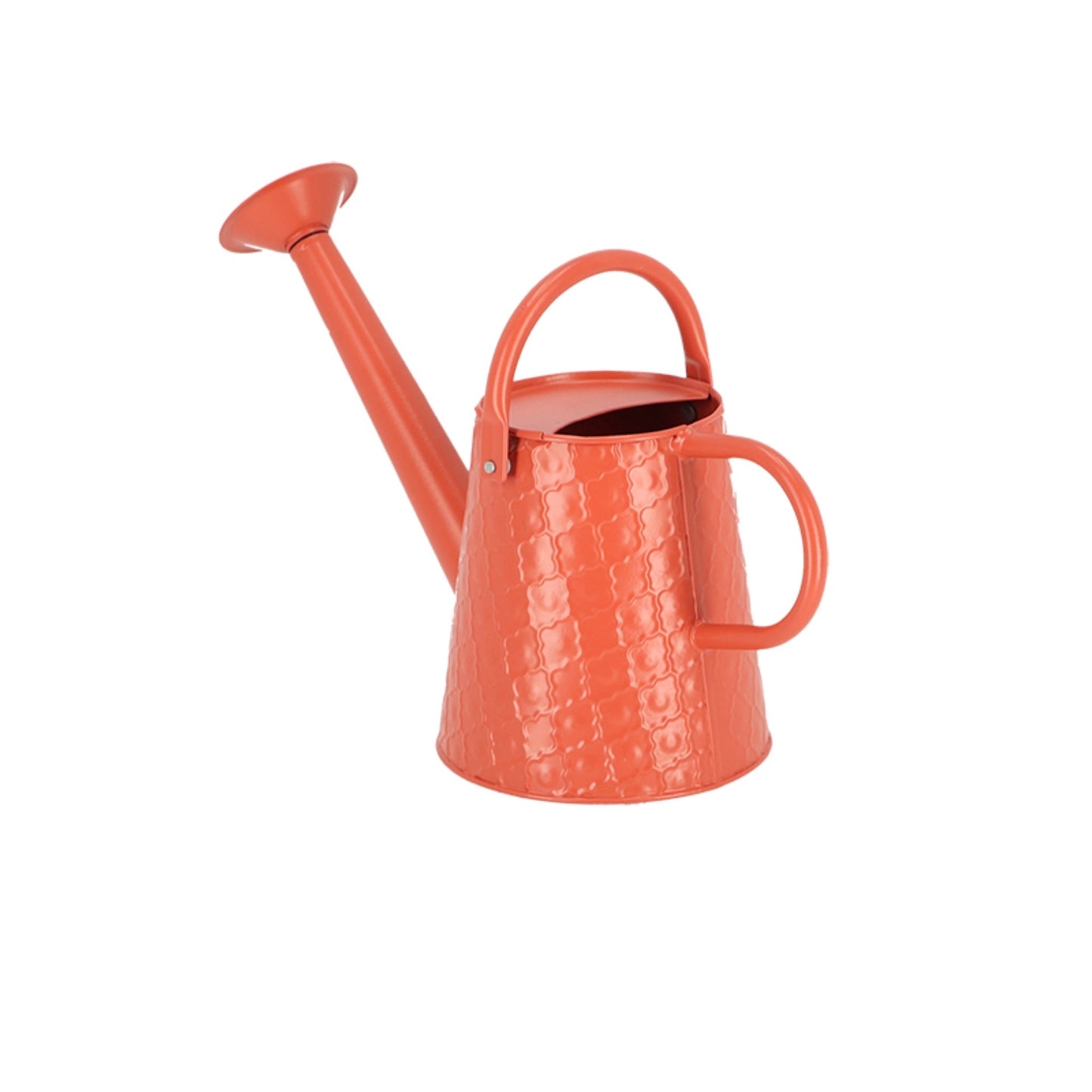 Watering Can Desert Dream S ~ Assorted