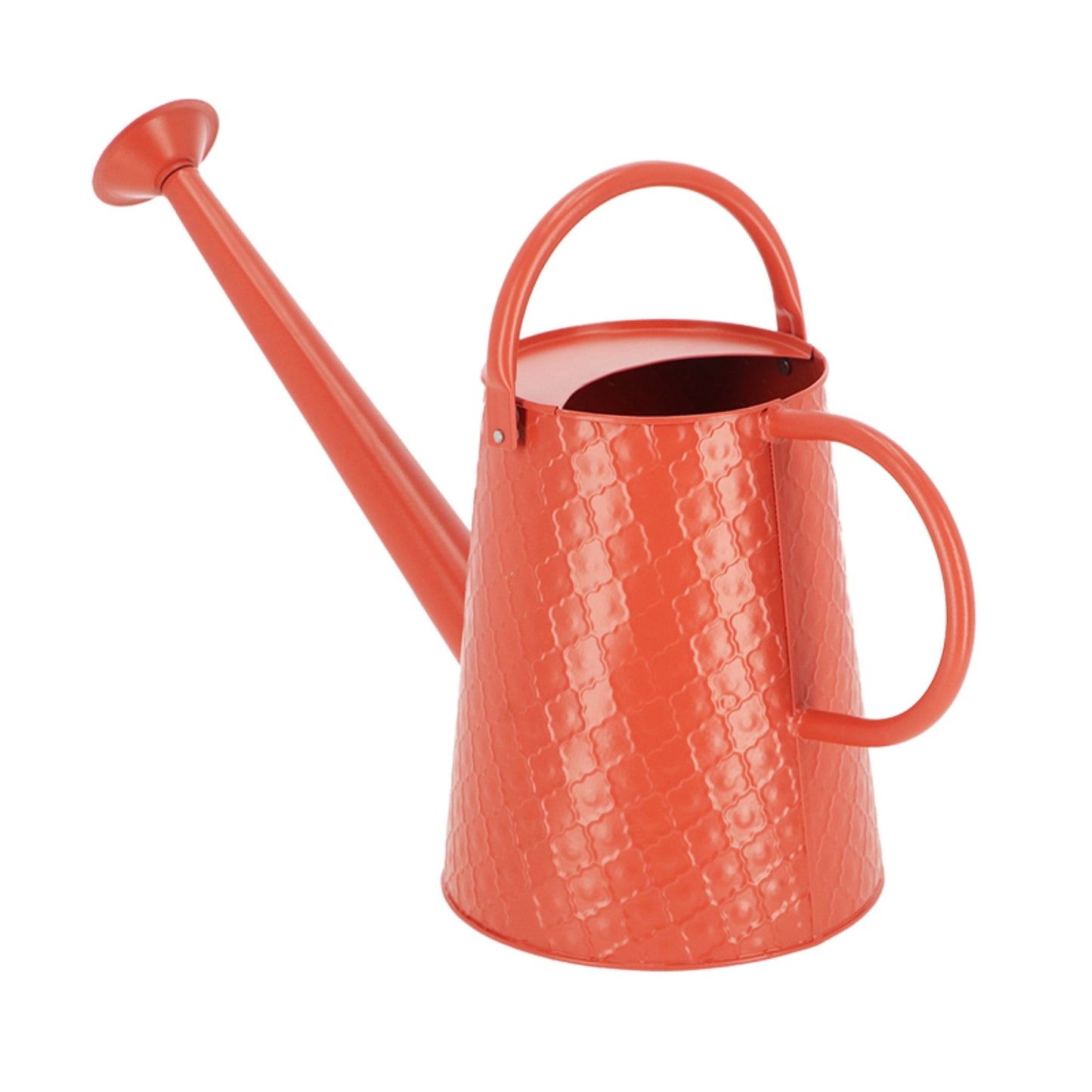 Watering Can Desert Dream L ~ Assorted