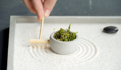 Rectangular Mini Zen Garden