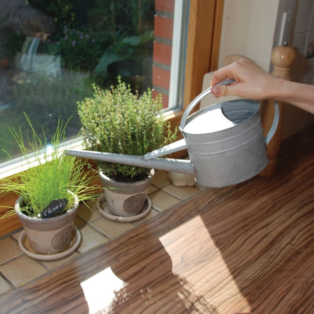 Watering Can Indoor