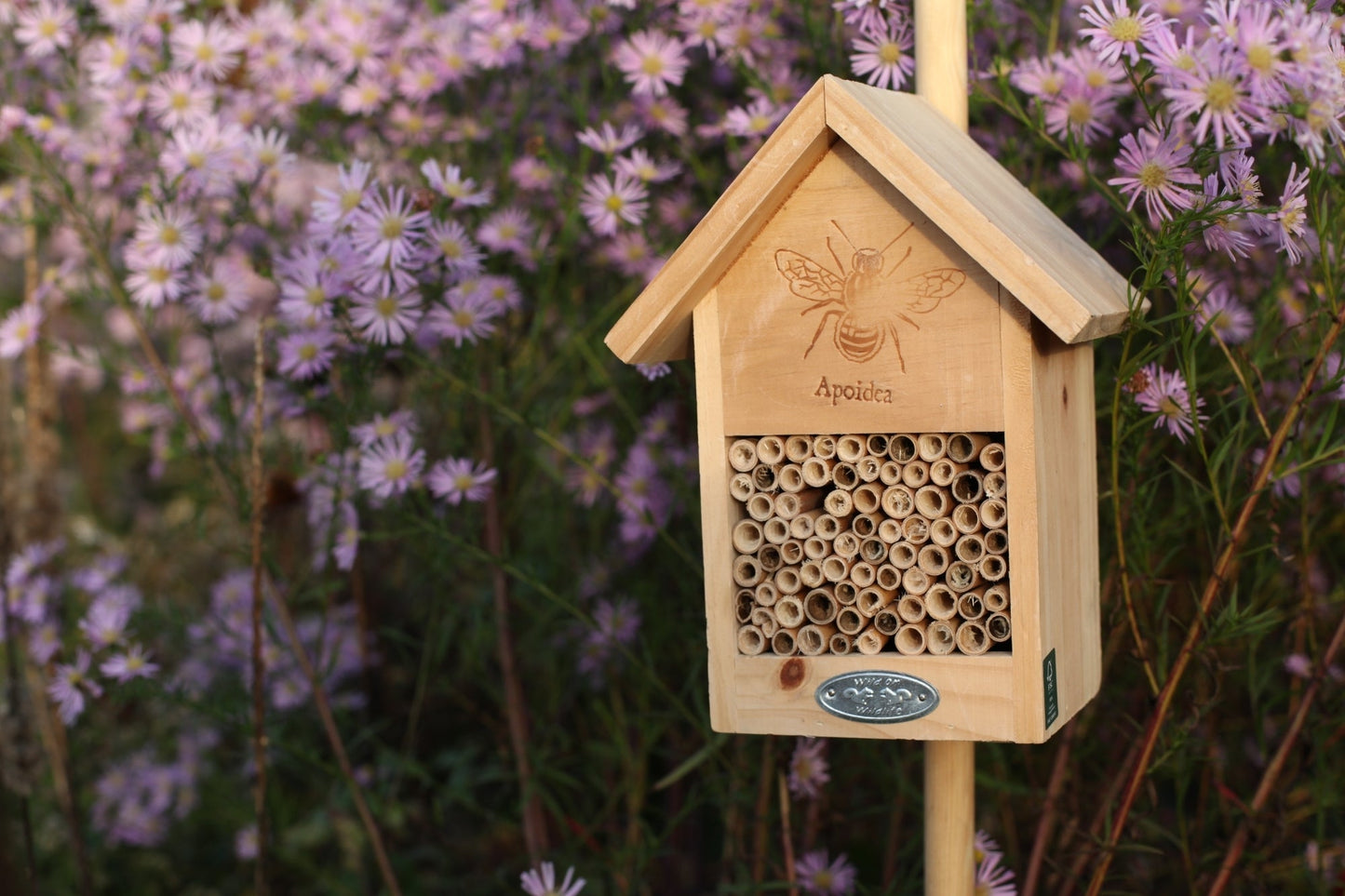 Silhouette de la maison des abeilles