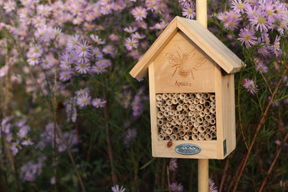 Silhouette de la maison des abeilles