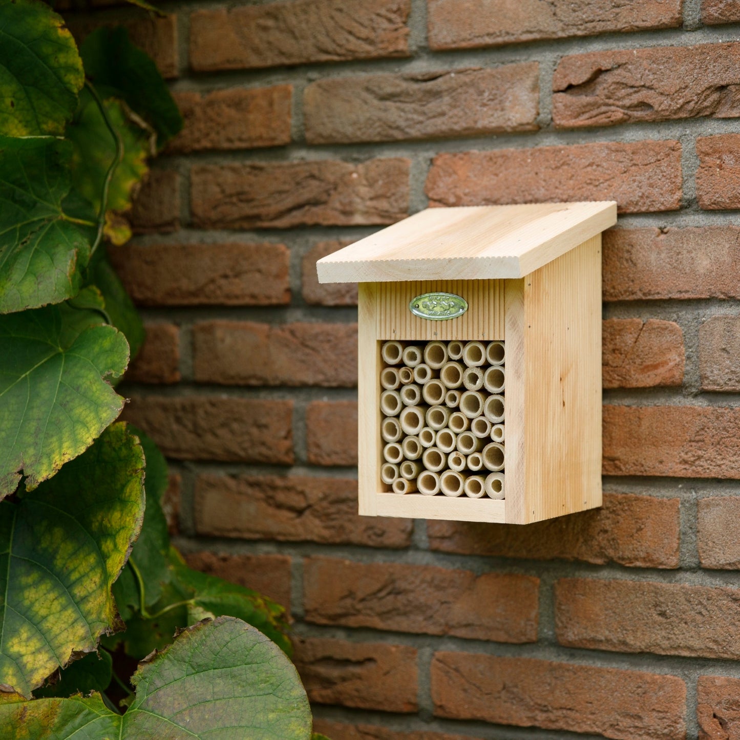 Bee House in Gift Box