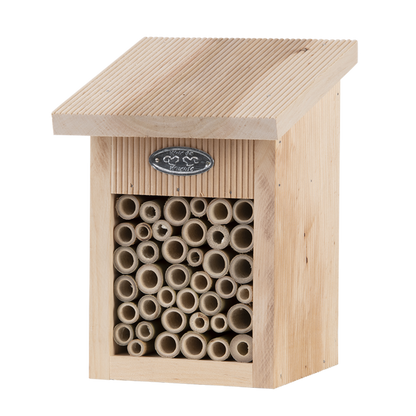 Bee House in Gift Box