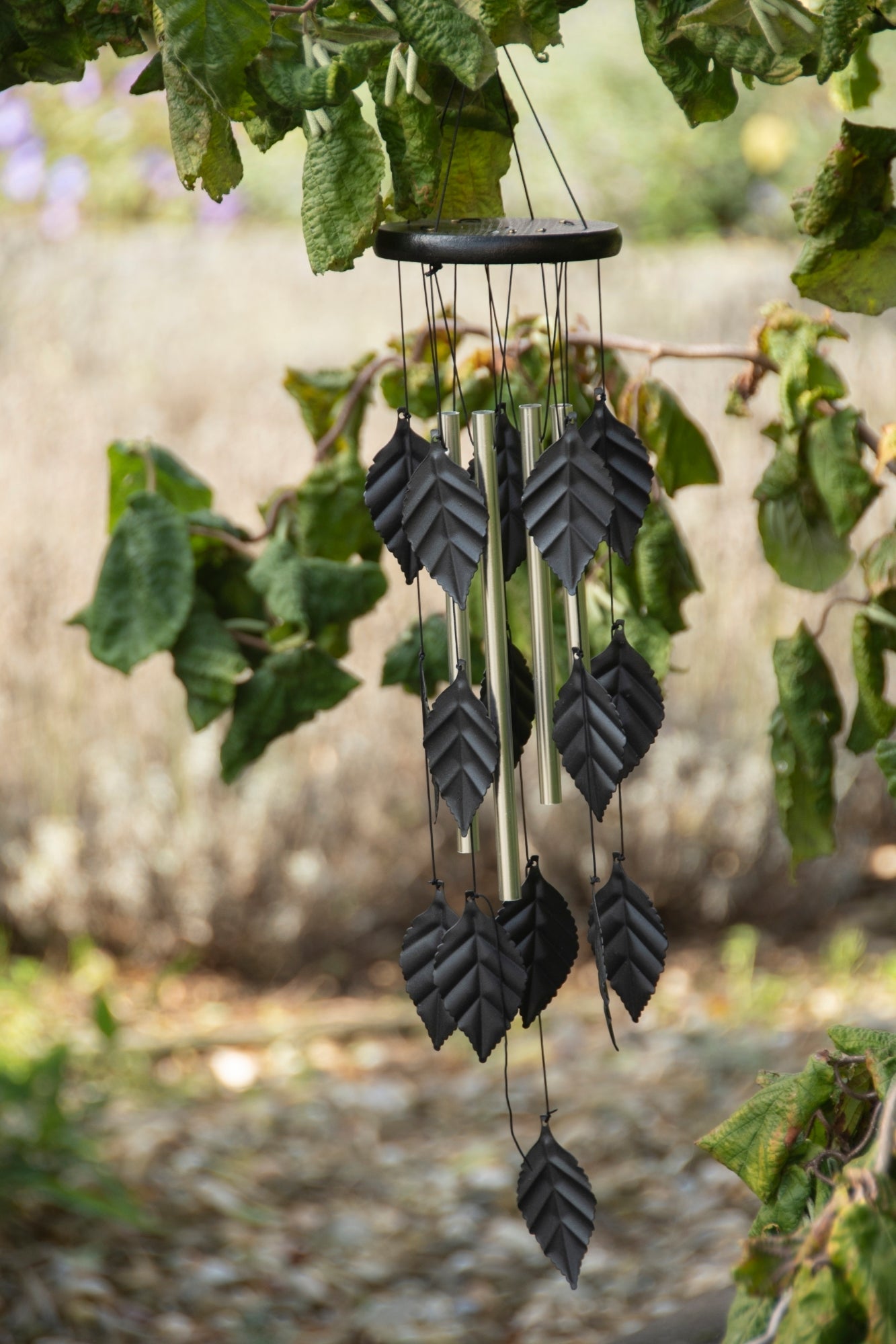 Feuilles de carillon